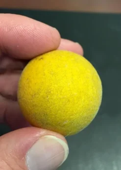 Flying Dragon Hardy Orange Tree - 3 Gallon Pot -Plant Promotion Store Orange Flying Dragon 6