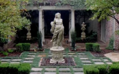 Dwarf Mondo Grass - 36 Pack Of 3.5" Pint Pots -Plant Promotion Store Picture Mondo Grass Dwarf Pavers