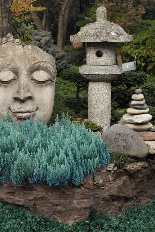 Blue Forest Juniper - 1 Gallon Pot 1 Blue Forest Juniper - 1 Gallon Pot