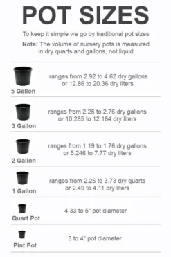 New Arrival -Plant Promotion Store pot size chart 2022 809