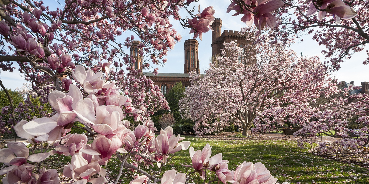 Plant Promotion Store 1 Plant Promotion Store -Plant Promotion Store 1